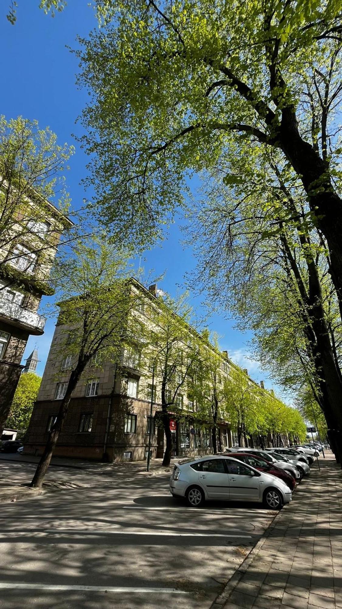 Heritage House Dane Apartment Klaipėda Eksteriør billede